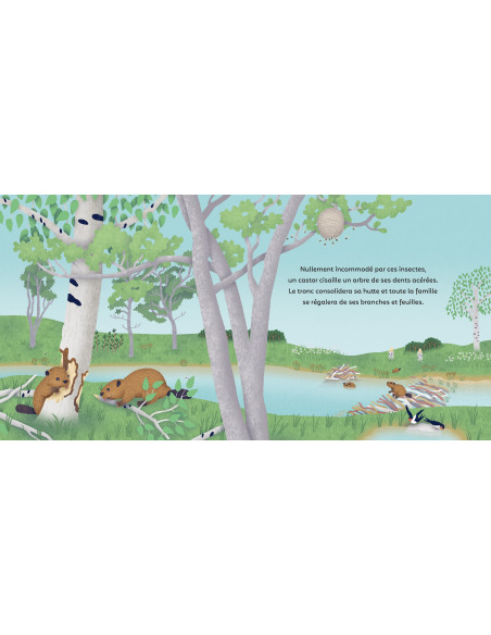 LES PETITS BATISSEURS - EVEIL NATURE