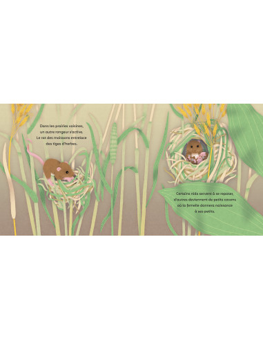 LES PETITS BATISSEURS - EVEIL NATURE