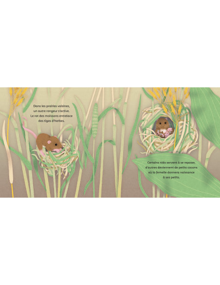 LES PETITS BATISSEURS - EVEIL NATURE