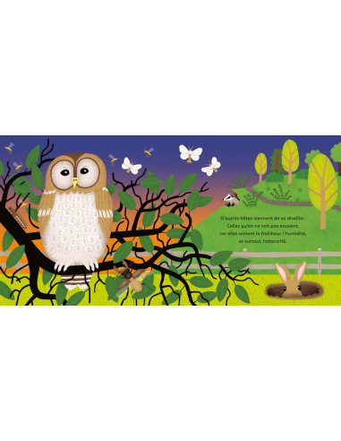 LA PETITE NUIT - EVEIL NATURE