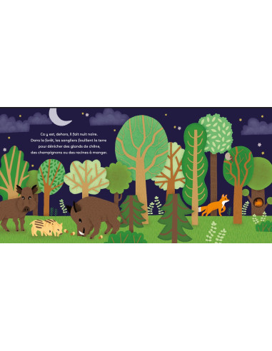 LA PETITE NUIT - EVEIL NATURE