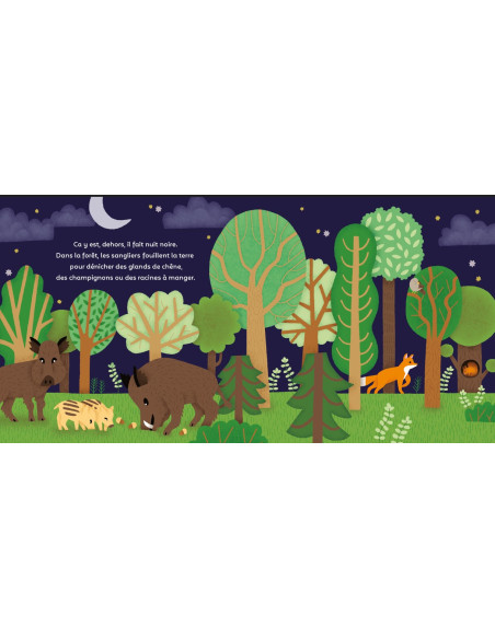 LA PETITE NUIT - EVEIL NATURE