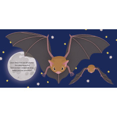 LES PETITES CHAUVES-SOURIS - EVEIL NATURE 2