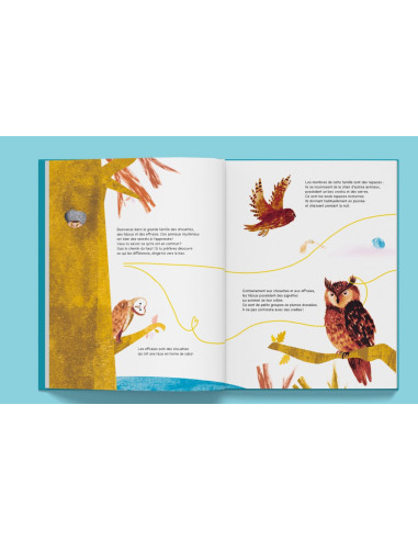 LA CHOUETTE COLLECTION SUIS DU DOIGT