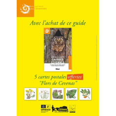 Guide naturaliste Causses Cévennes