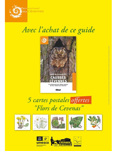 Guide naturaliste Causses Cévennes