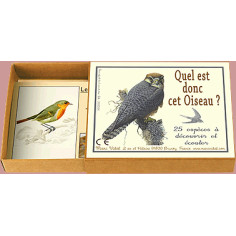 reconnaitre les oiseaux et leurs chants