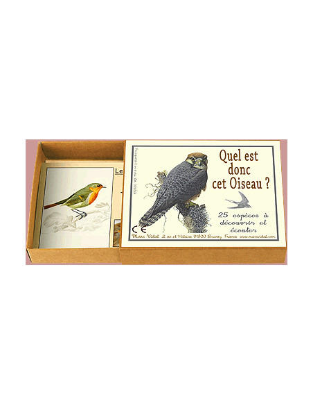 reconnaitre les oiseaux et leurs chants