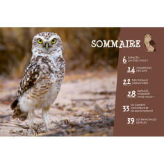 Tout savoir sur les rapaces 2