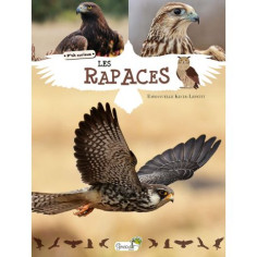 Tout savoir sur les rapaces