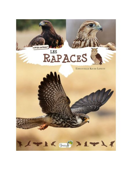 Tout savoir sur les rapaces