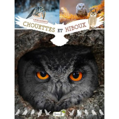hiboux et chouettes pour les petits curieux