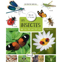 cahier d'activités sur les insectes