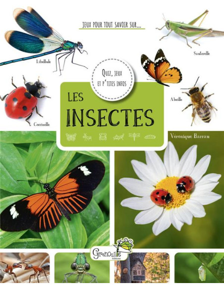 cahier d'activités sur les insectes