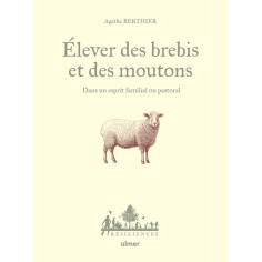 élevage de moutons et brebis
