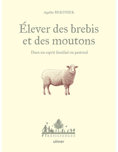 élevage de moutons et brebis