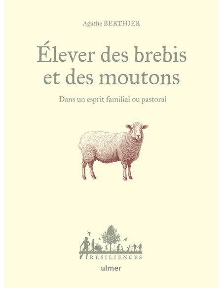 élevage de moutons et brebis