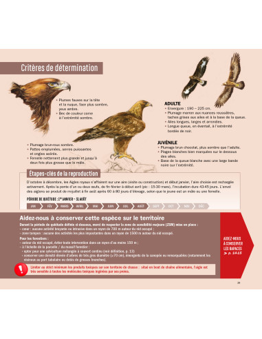 ouvrage du parc national des cévennes sur les rapaces et leur protection