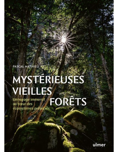 forêts anciennes d'occitanie