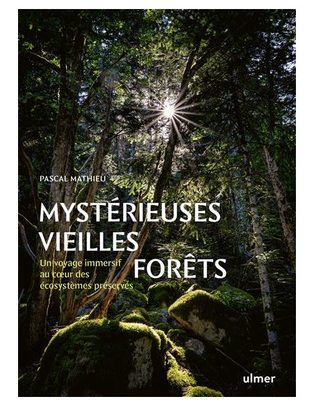 forêts anciennes d'occitanie