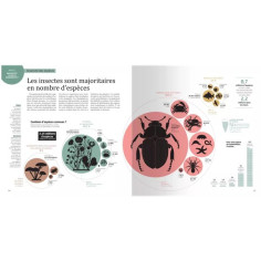 LA BIODIVERSITÉ EN INFOGRAPHIE 2