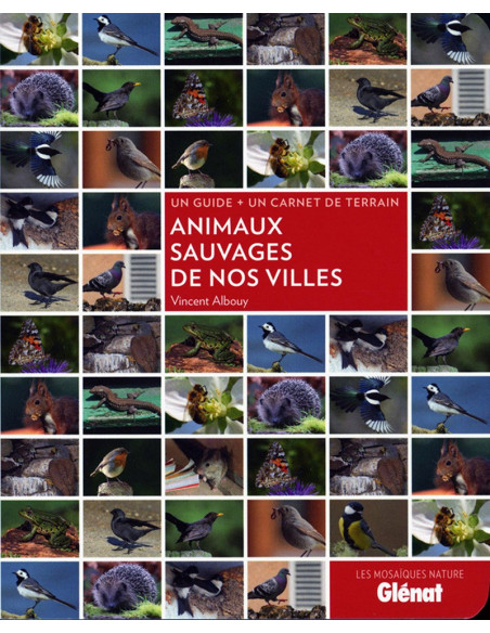 Animaux sauvages de nos villes