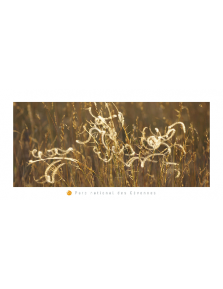 CARTE POSTALE PANORAMIQUE