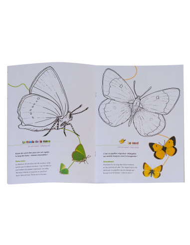 COLORIAGE LES PAPILLONS DES PARCS ET JARDINS