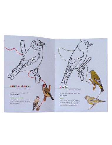 COLORIAGE LES OISEAUX DES MANGEOIRES