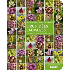 ORCHIDEES SAUVAGES