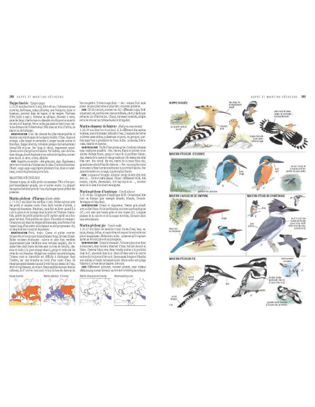 GUIDE ORNITHO EDITION 2023 - DELACHAUX NIESTLE