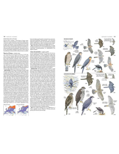 GUIDE ORNITHO EDITION 2023 - DELACHAUX NIESTLE