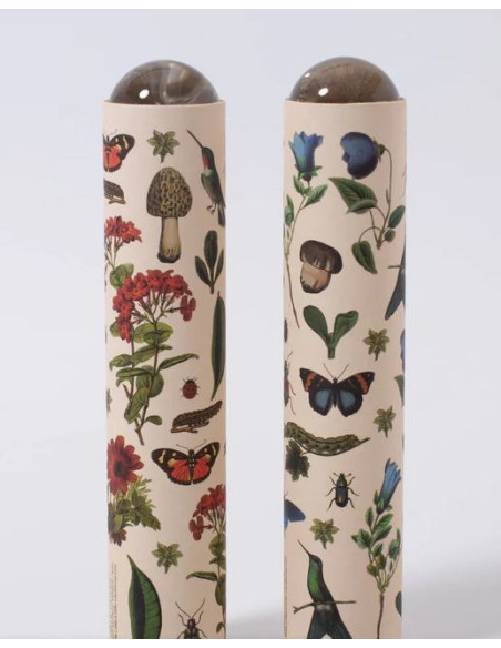 KALÉIDOSCOPE BIODIVERSITÉ