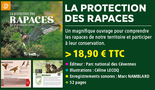 LA PROTECTION DES RAPACES